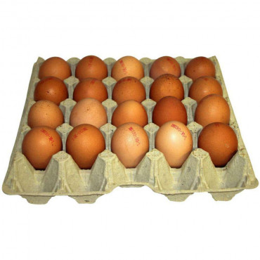 Lose Eier aus Hessen Freilandhaltung, Gr. XL