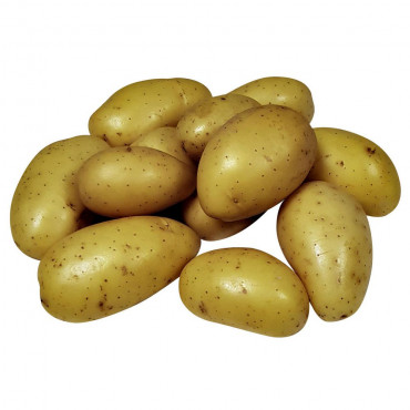 Speisefrühkartoffeln Berber, neue deutsche Ernte