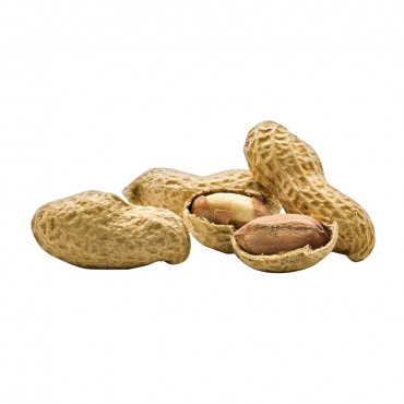 Erdnüsse, in der Schale geröstet