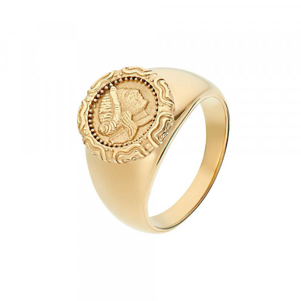 Damen Ring aus Edelstahl, vergoldet (4056874026062)