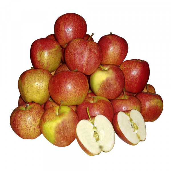 Äpfel Jonagold