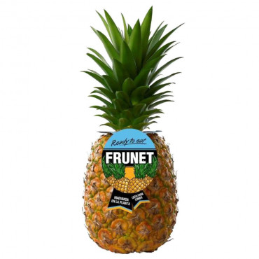 Ananas Frunet