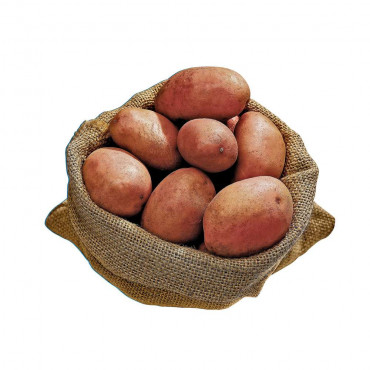 Kartoffeln rotschalig, vorwiegend festkochend, Beutel