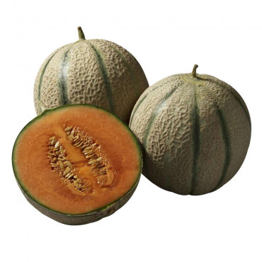 Cantaloup Melone