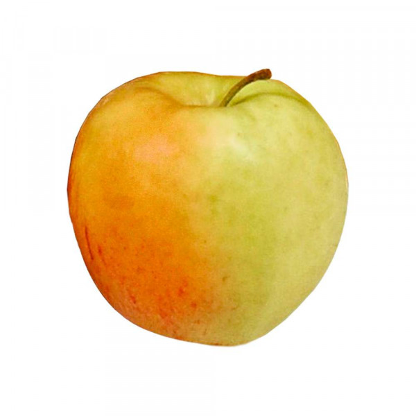 Äpfel Elstar