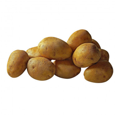 Kartoffeln, mehligkochend
