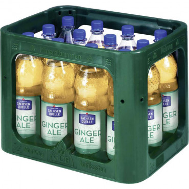 Ginger Ale (12x 1,000 Liter)