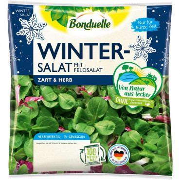 Frischer Winter-Mix Salat