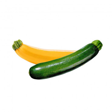 Bio Zucchini gelb/grün