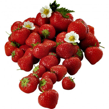 Erdbeeren in Schale, lose