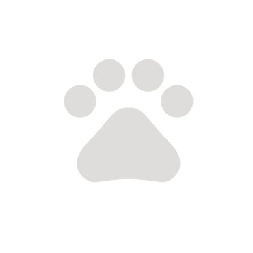 Terrier-Striegel, 13x8cm türkis